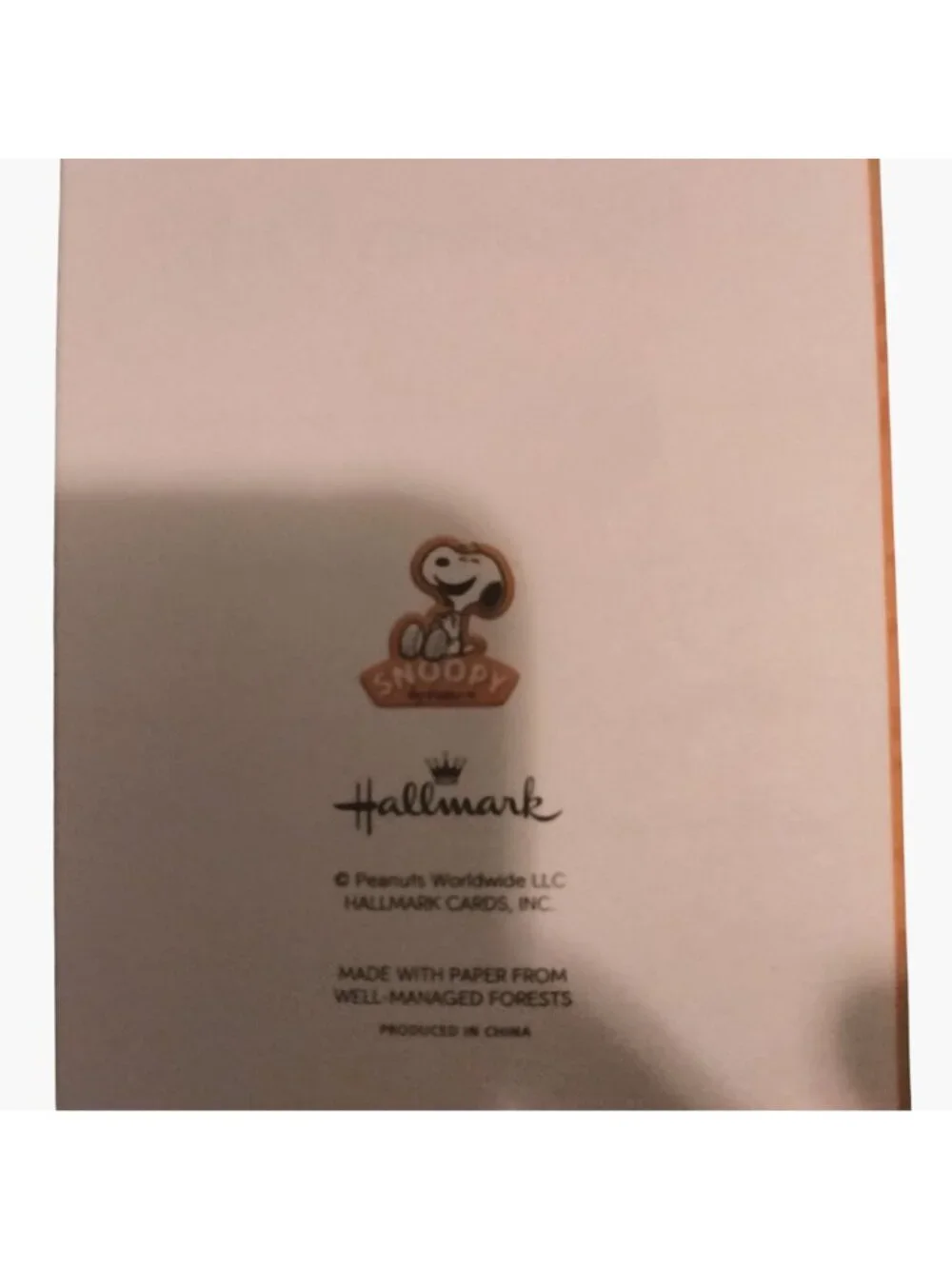 Snoopy Halloween Party Invitation Card Envelope Hallmark Craft Scrapbook